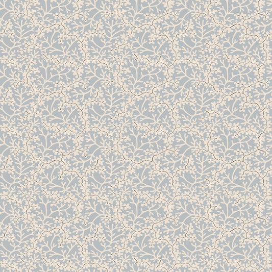 S10673 Coral, LightBlue