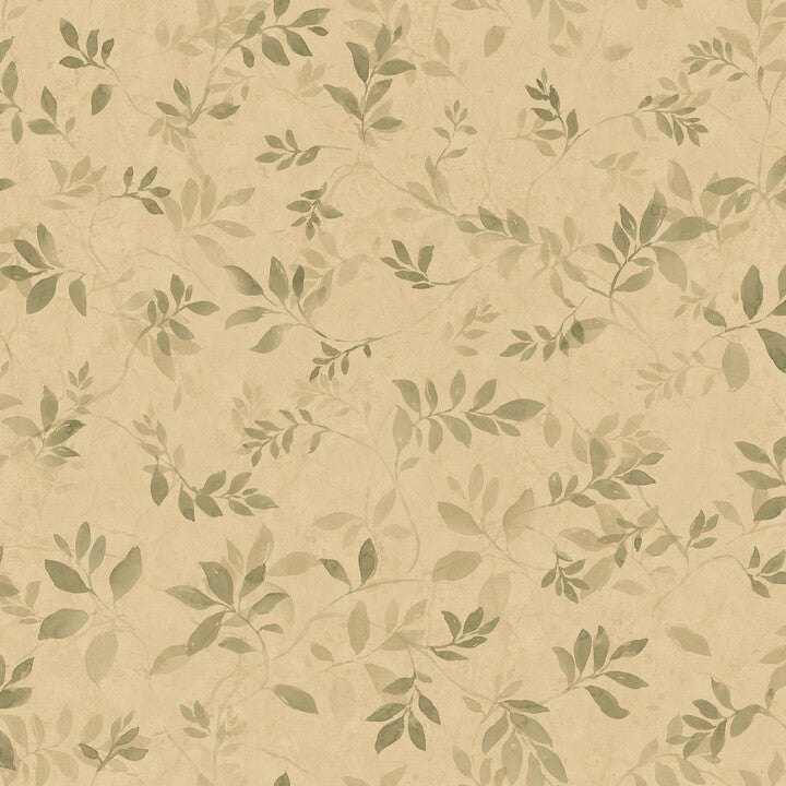 S10676 Mila, OliveGreen