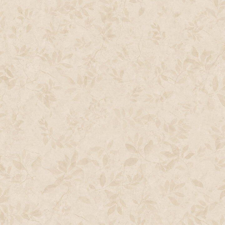 S10677 Mila, Beige
